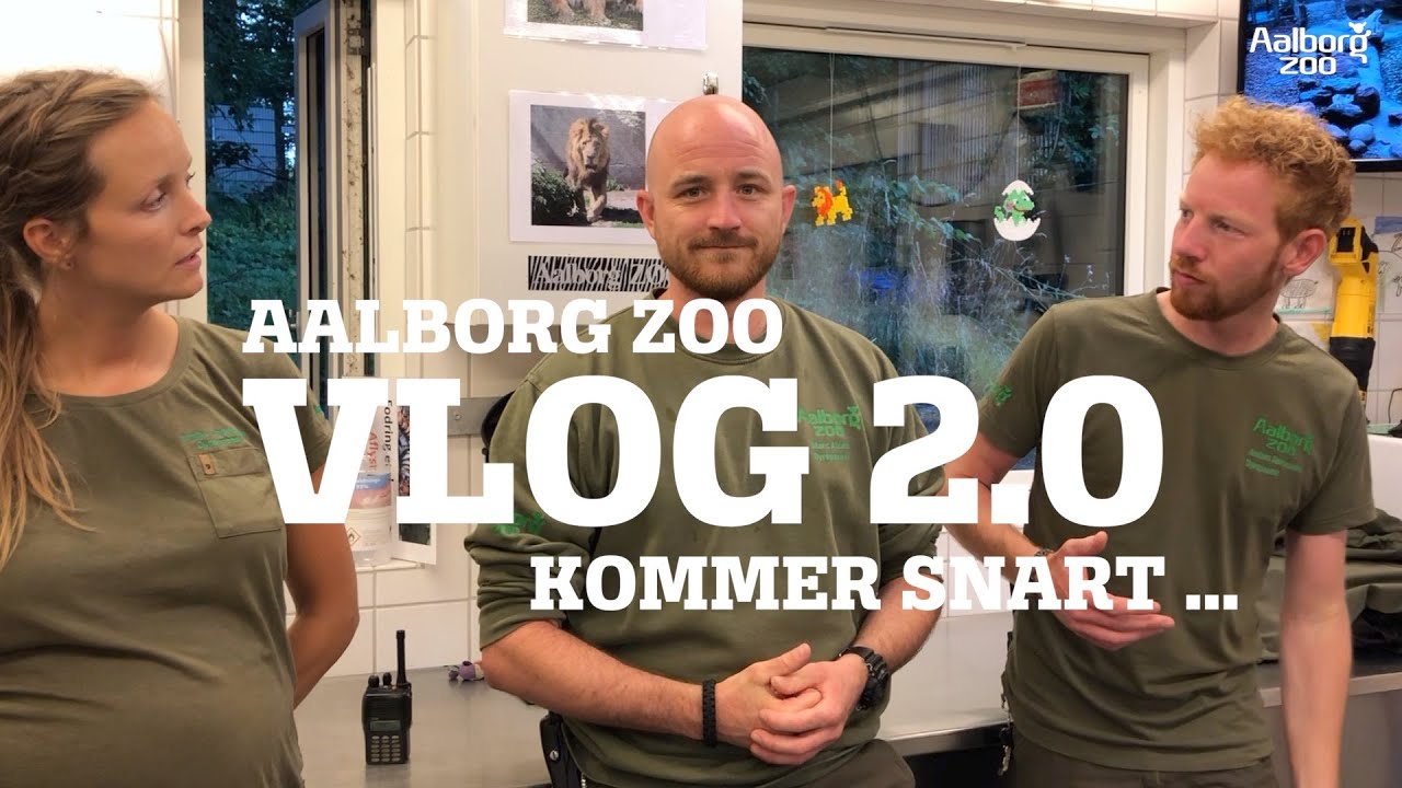 AALBORG ZOO VLOG 2.0 ... KOMMER SNART!