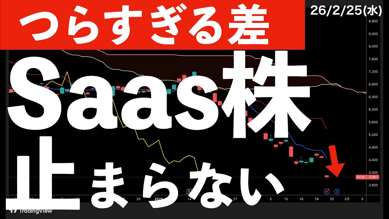 【つらすぎる】指数は強くてもソフトウェアの下落が止まらない　#米国株 #日経平均 #sp500