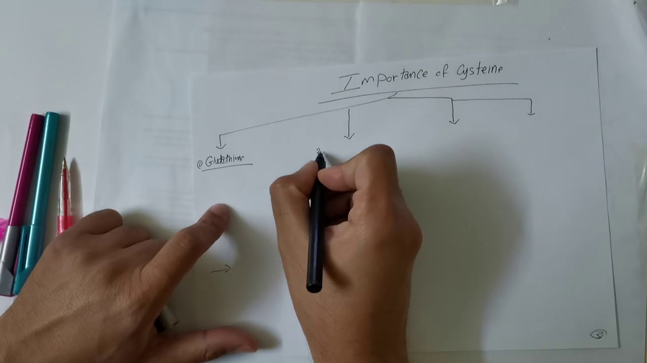 5- Amino Acid Metabolism Part 1 Dr. Mahmoud Hefnawy