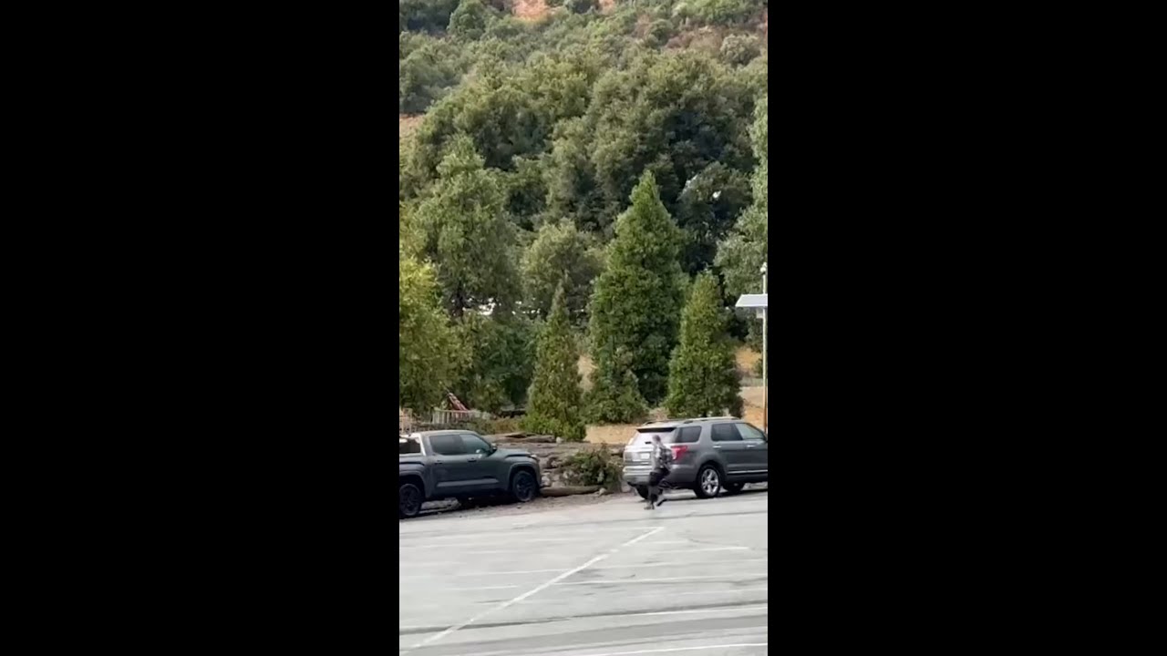Truck vs. Mudslide