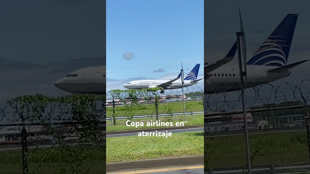 Hermoso avion de copa airlines aterrizando en tocumen #viralvideo #aviation