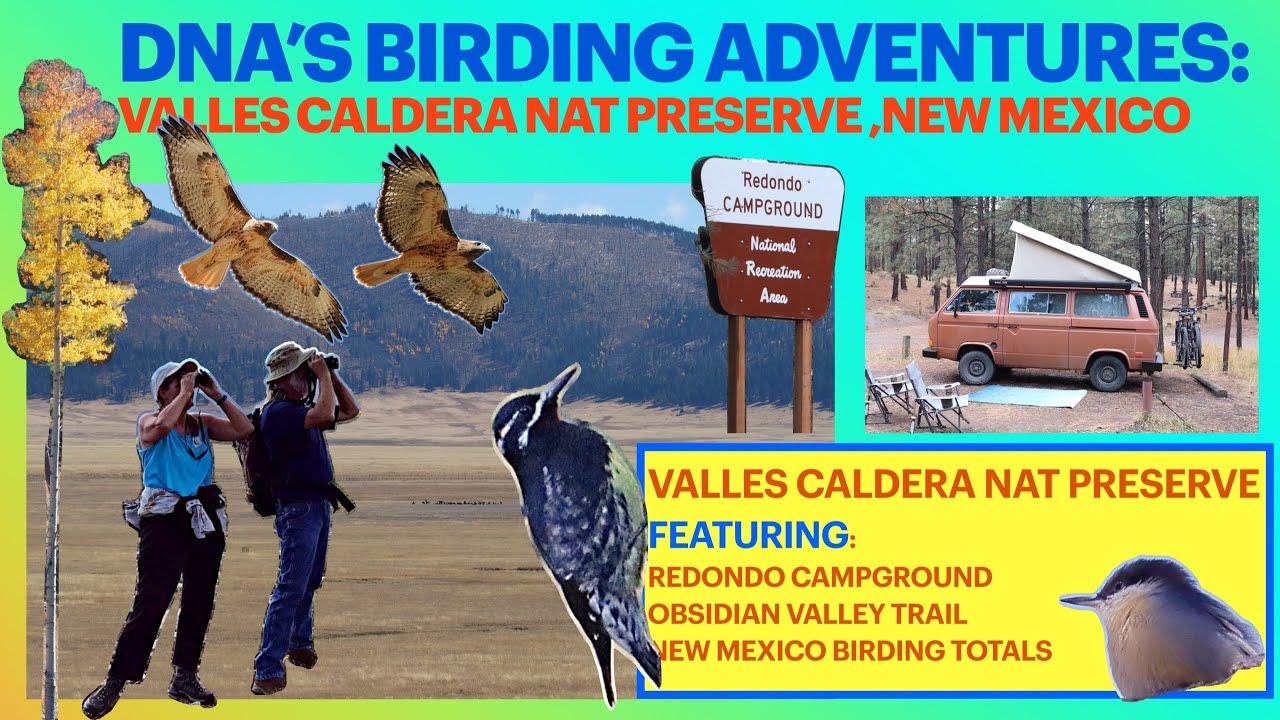 Birding Valles Caldera National Preserve New Mexico + Redondo Campground + Vanlife #birding #birds