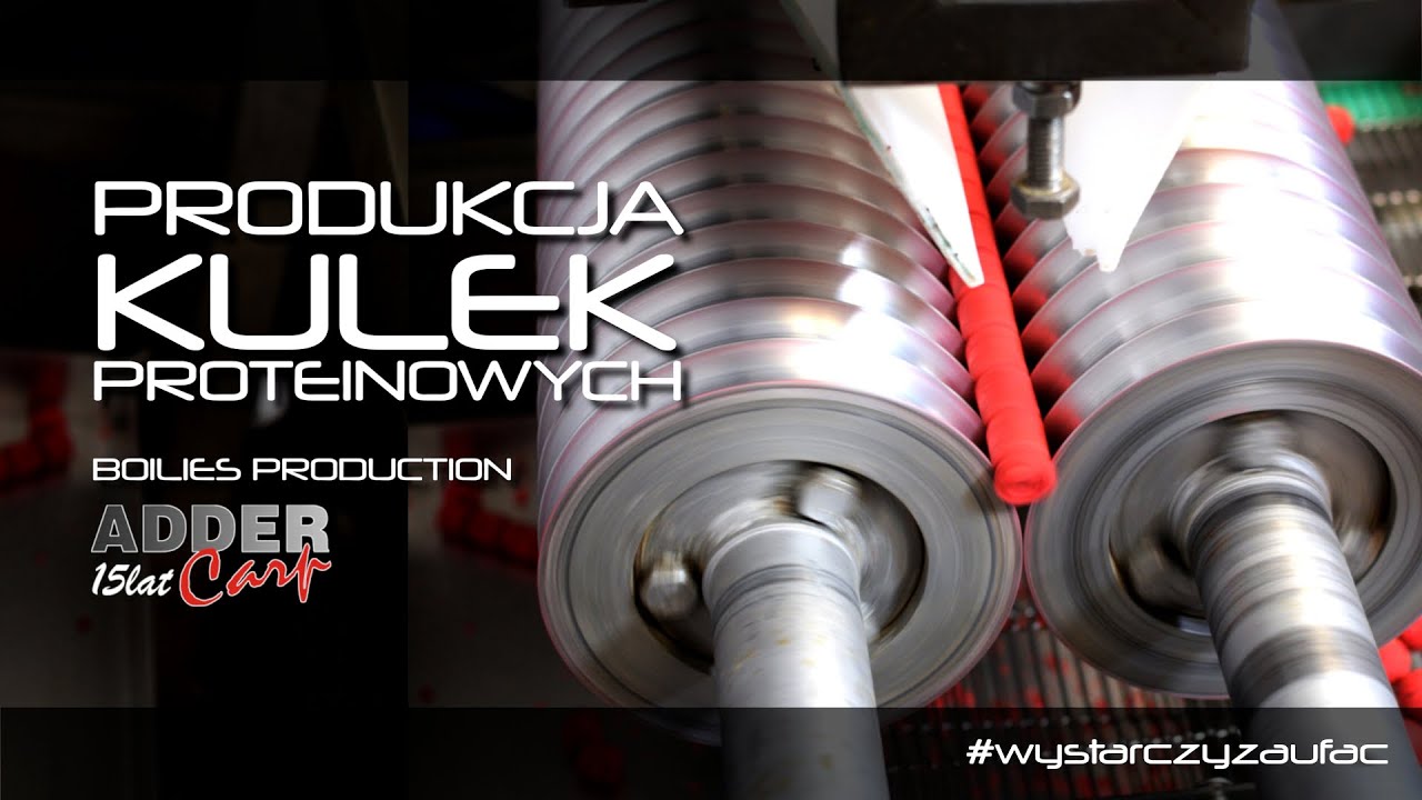 PRODUKCJA KULEK PROTEINOWYCH - #ADDERCARP - BOILIES PRODUCTION
