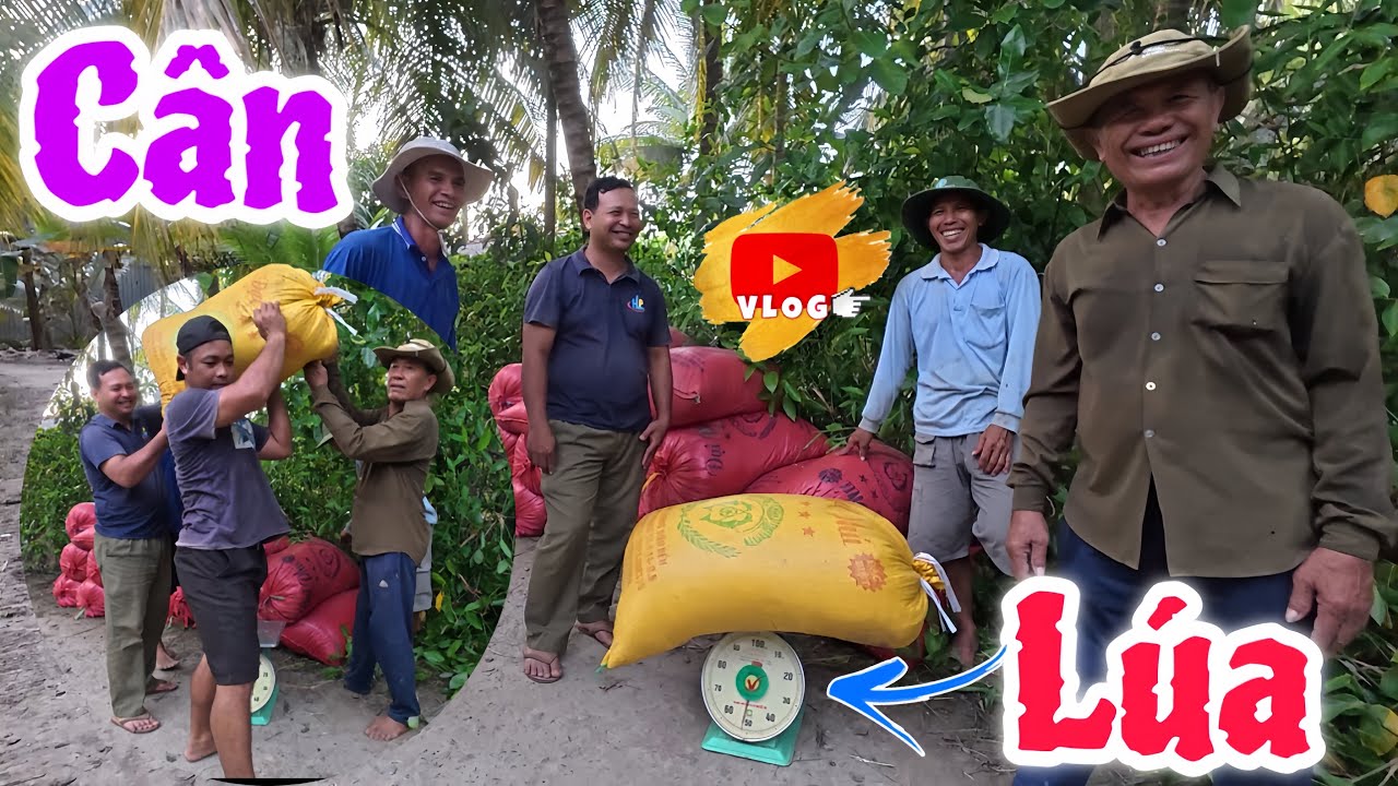 Biệt Đội T&iacute; Hon Gh&eacute; Nh&agrave; Anh Hai C&ugrave;ng B&agrave; Con Thu Hoạch L&uacute;a & Bất Ngờ Gặp Cậu B&eacute; C&oacute; Đ&ocirc;i Ch&acirc;n Đặc Biệt.