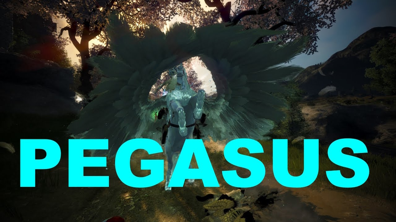 T9 Attempts, Rifts, And Boss Scrolls | BLACK DESERT ONLINE