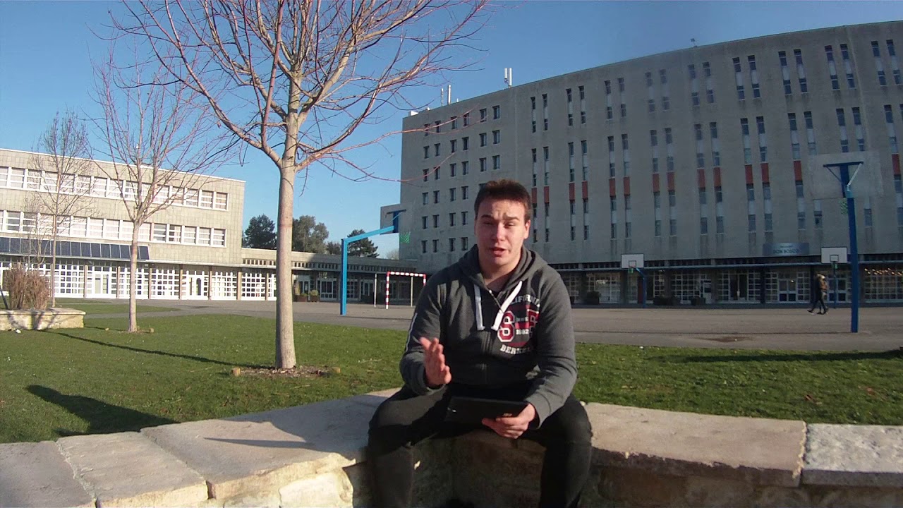 Video Naphta