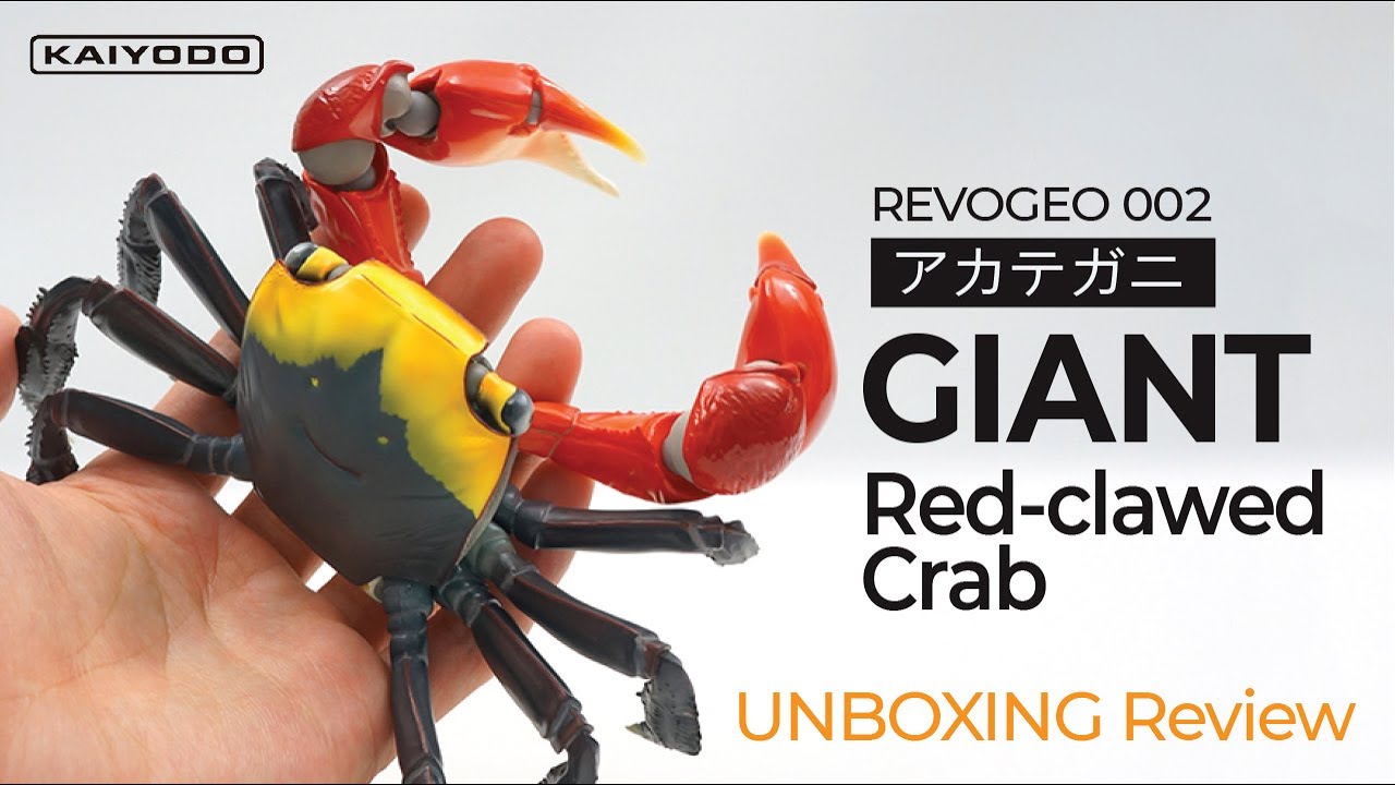 Giant Red-clawed Crab Action Figure! (REVOGEO) Vol.02
