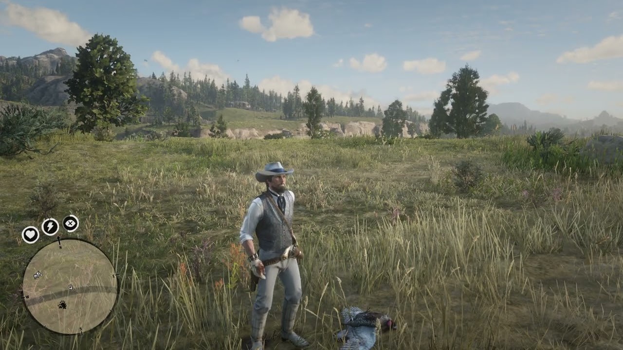 RDR2 Shooting birds