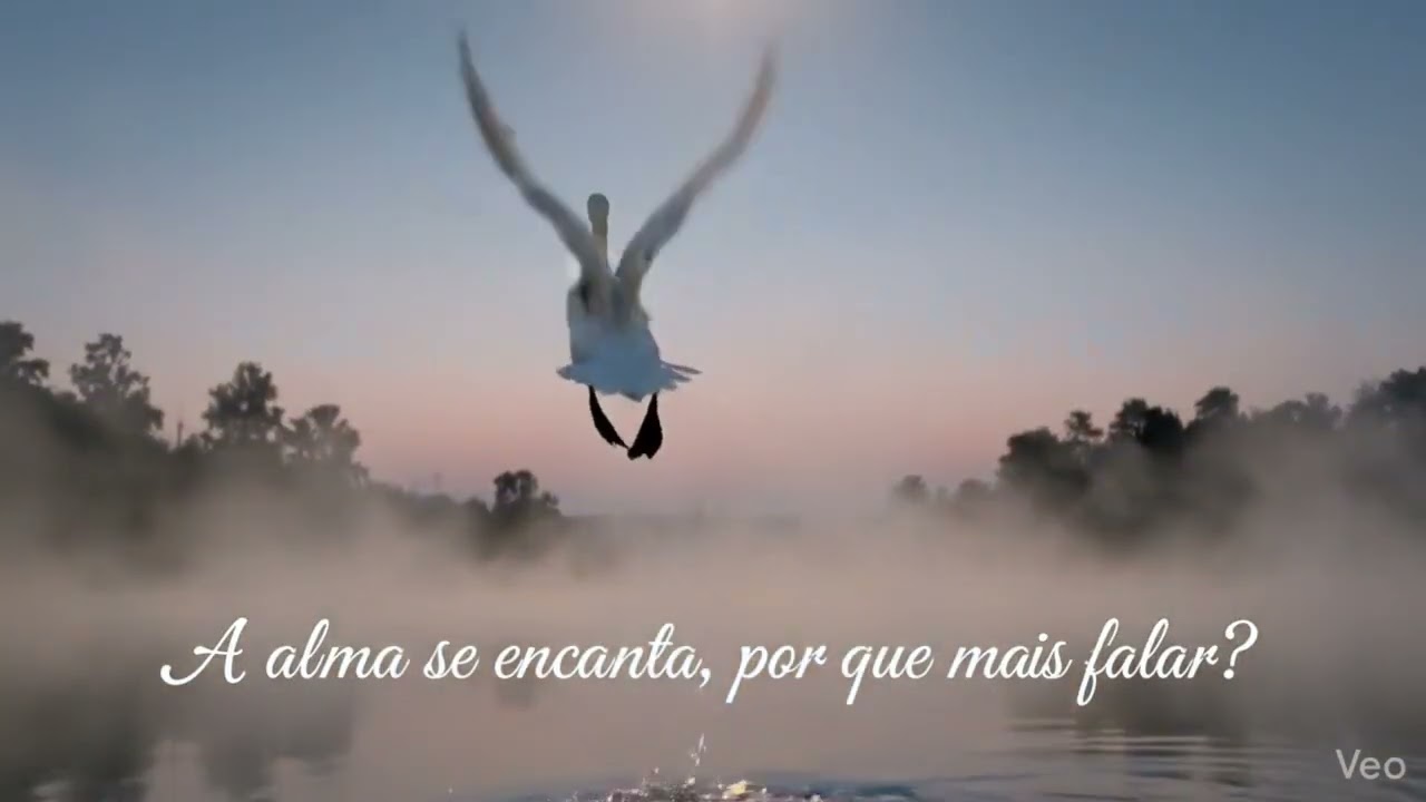 A alma se encanta | Indian Folk Translated to Portuguese ✨