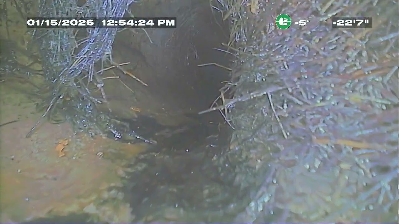 Job 48499 (Root instrusion)