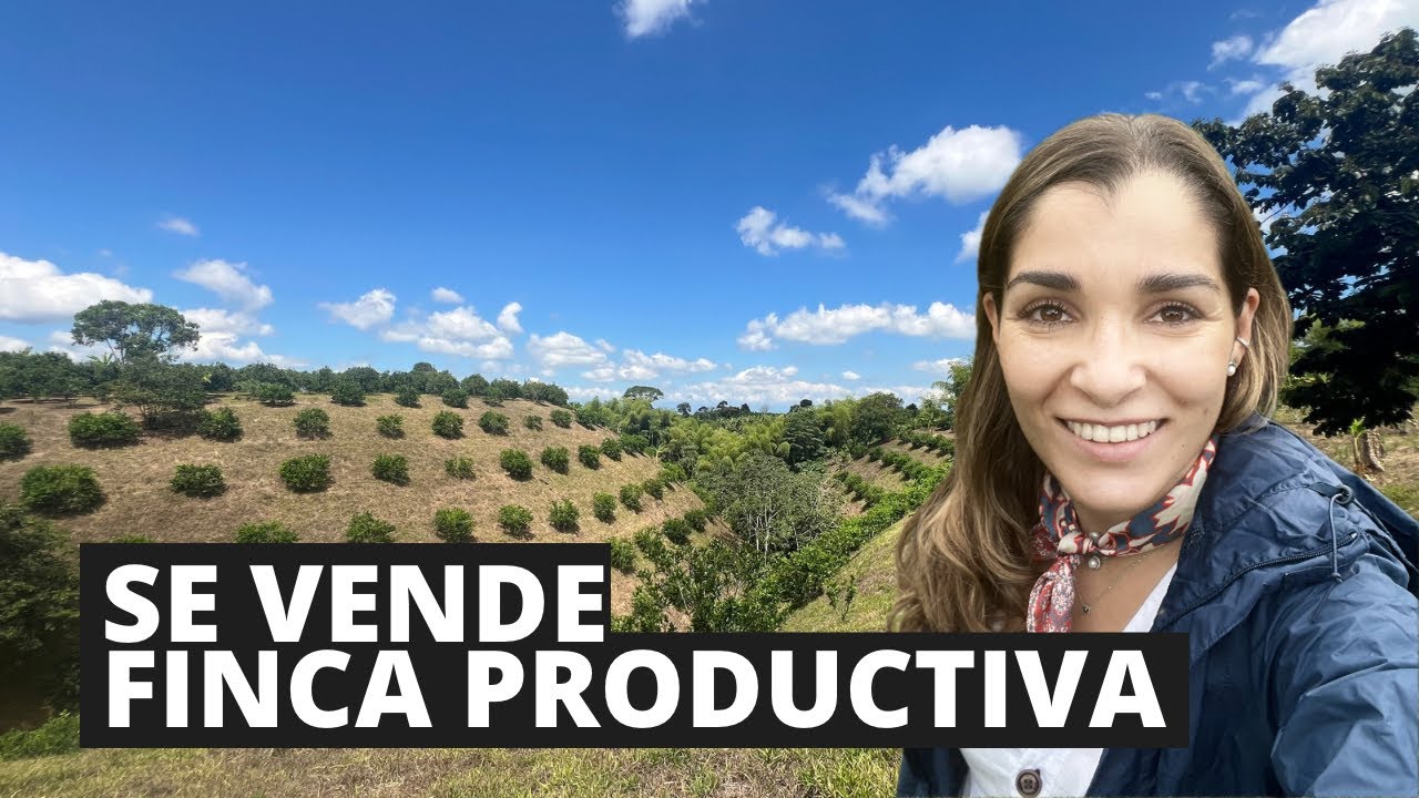 Finca productiva en venta Quimbaya Quindio 24 cuadras