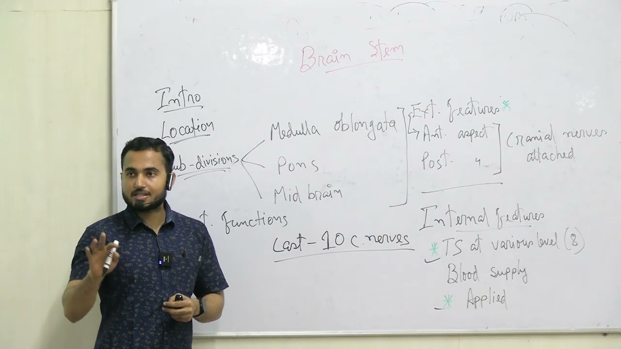 Lecture On Comprehensive Neuroanatomy Lecture: The Brainstem (Medulla, Pons & Midbrain) | MBBS |TSMC