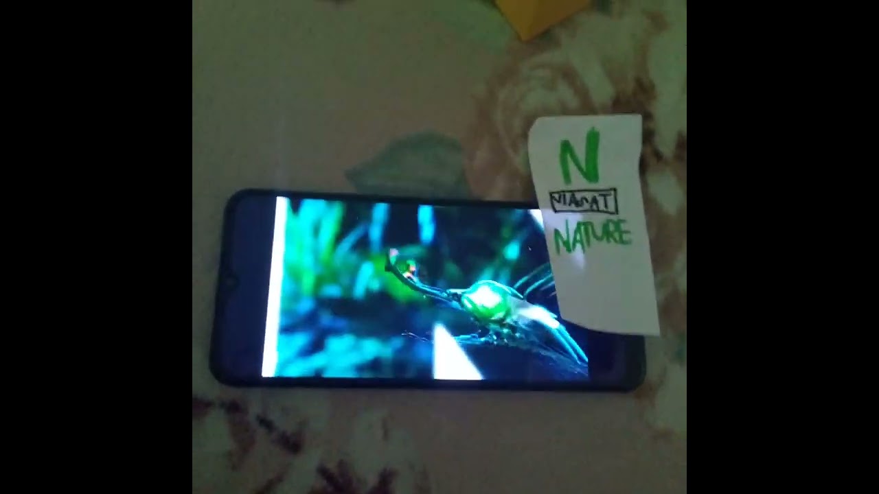 ЗАСТАВКА VIASAT NATURE ( 13.01.2016 Г. 6:00 МСК )