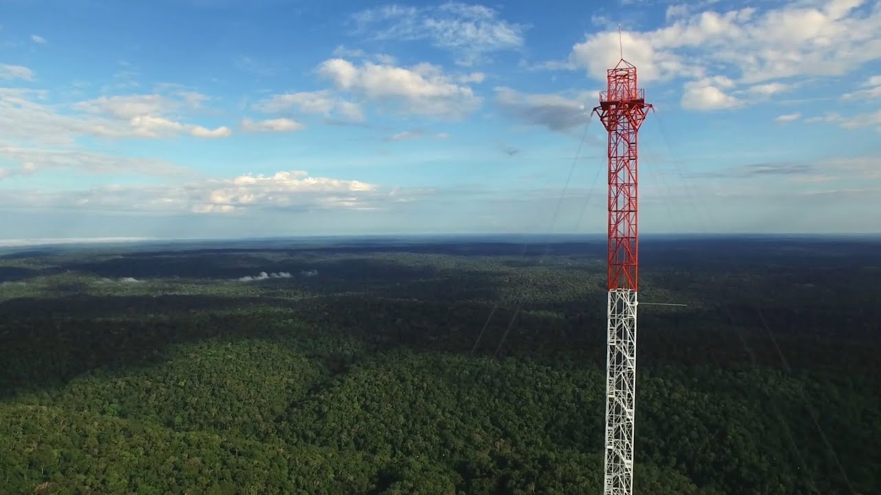 South America&rsquo;s Tallest Tower Stands in the Middle of the Amazon Rainforest