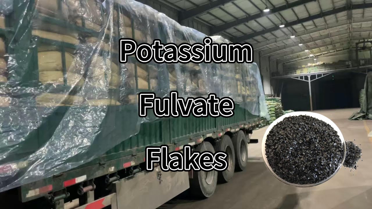 Shipment Alert: Potassium Fulvate Flakes - High-Quality Organic Fertilizer Dispatched 🚚🌿 - HUMICO