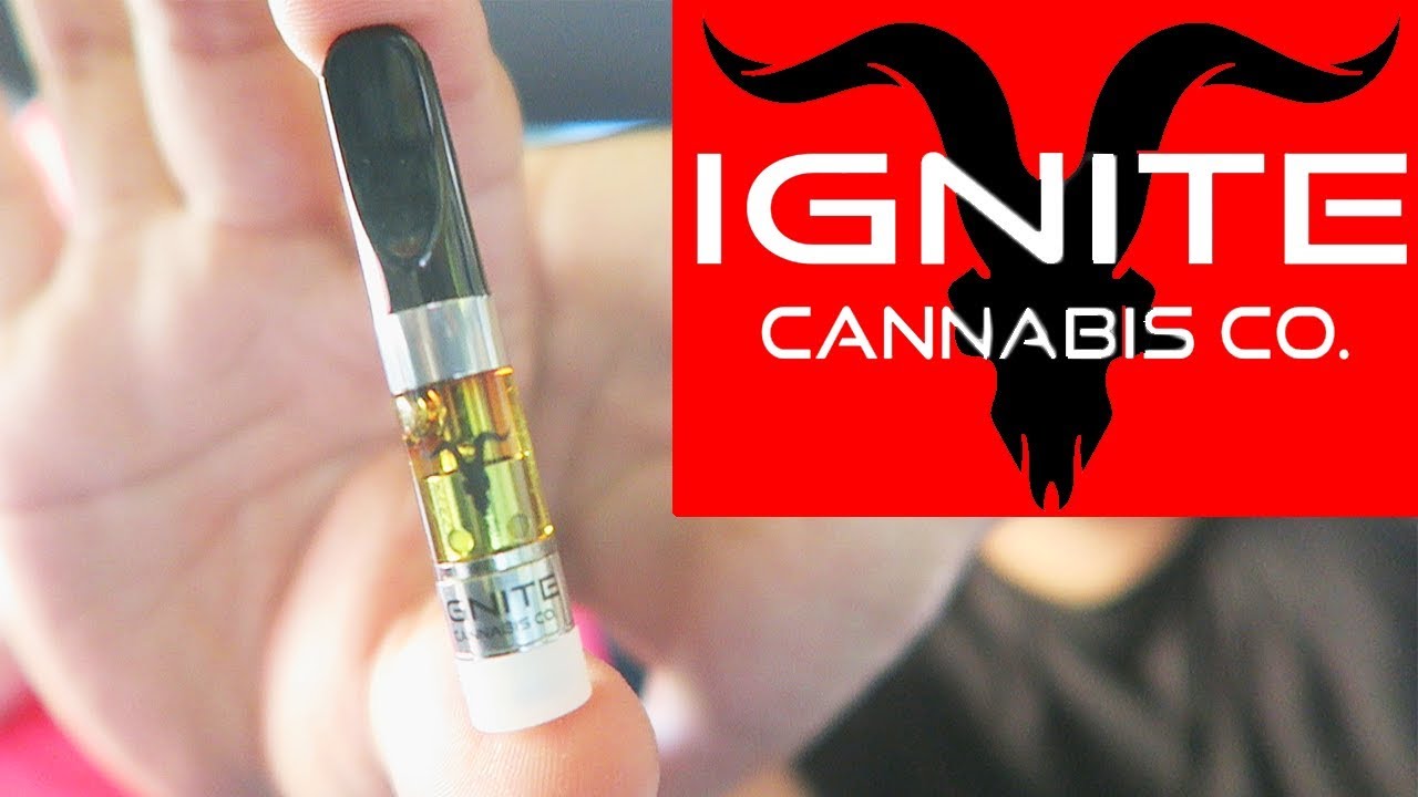 DAN BILZERIAN'S IGNITE SATIVA TANGIE WAX CARTRIDGE REVIEW