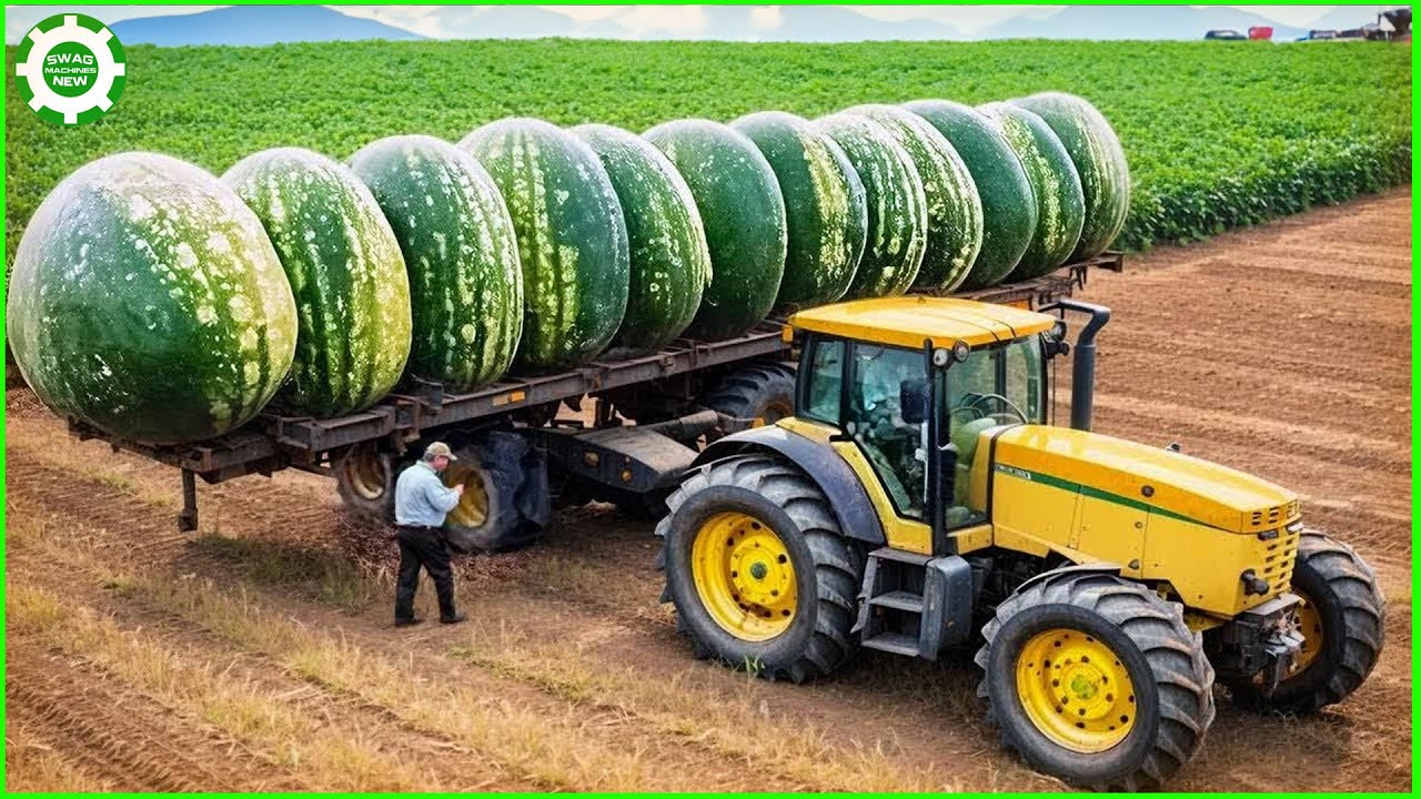 AMAZING Modern Agriculture Machines That Are At Another Level