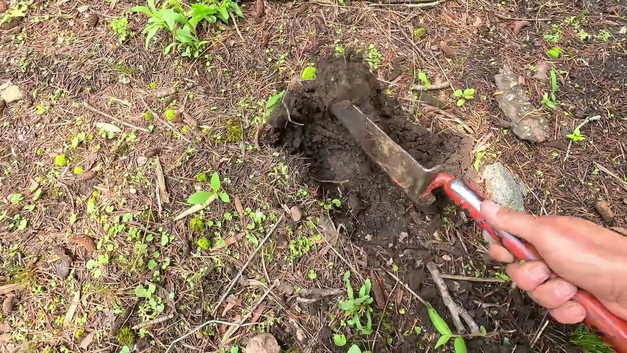 Хозяйка сказала НЕ делать этого, когда я искал металл в её дворе!! LOKITHOR JPD400