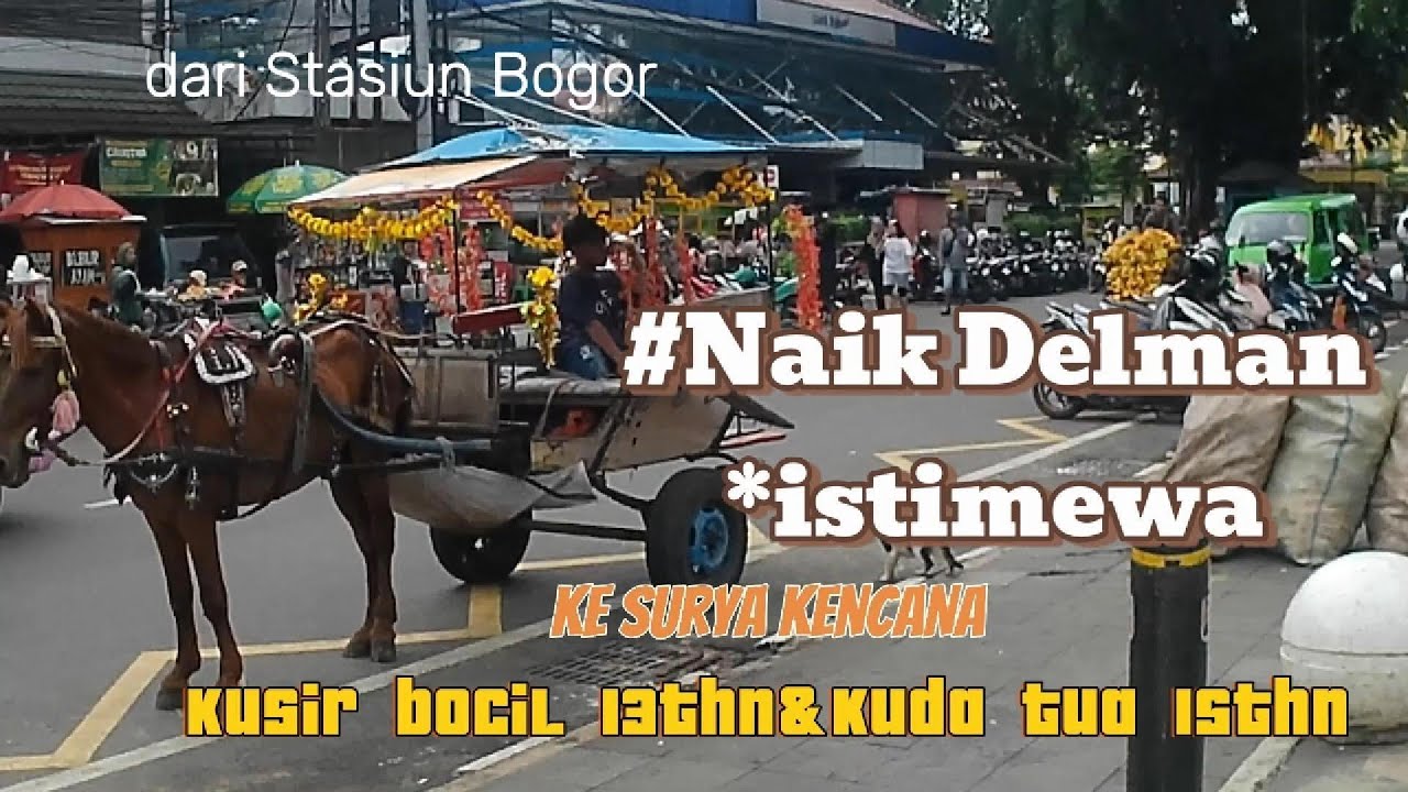Naik delman istimewa kusir bocil 13 thn & kuda tua 15thn#delman istimewa #surya kencana #kusir bocil