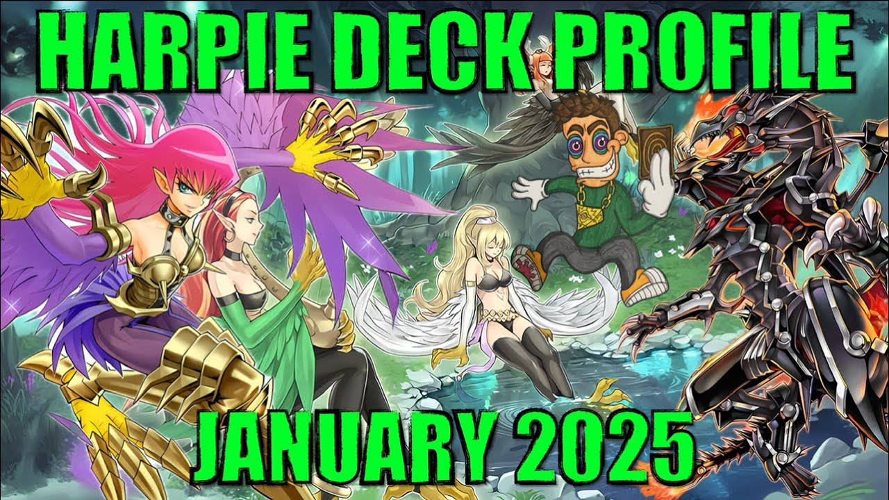 HARPIE DECK PROFILE! (January 2025)