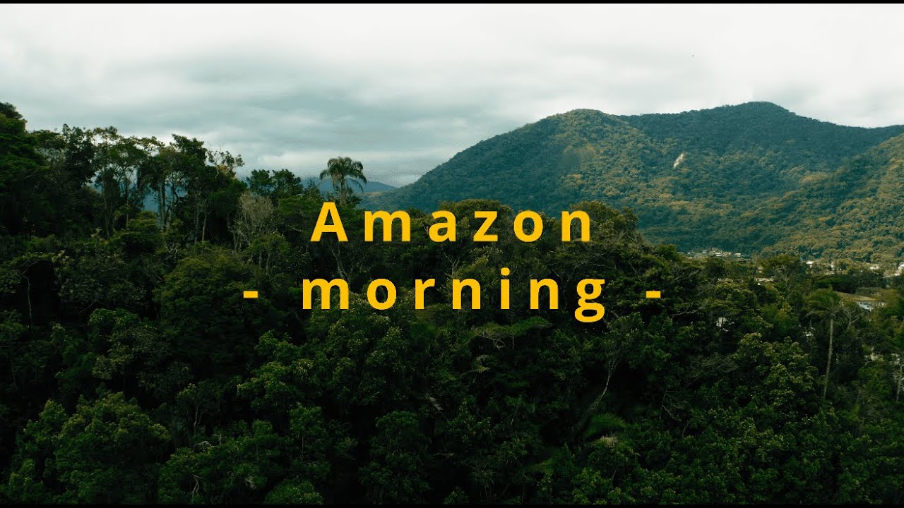 【4K背景が動く環境音/ASMR】アマゾンの朝 Amazon - morning -「sound of jungle」