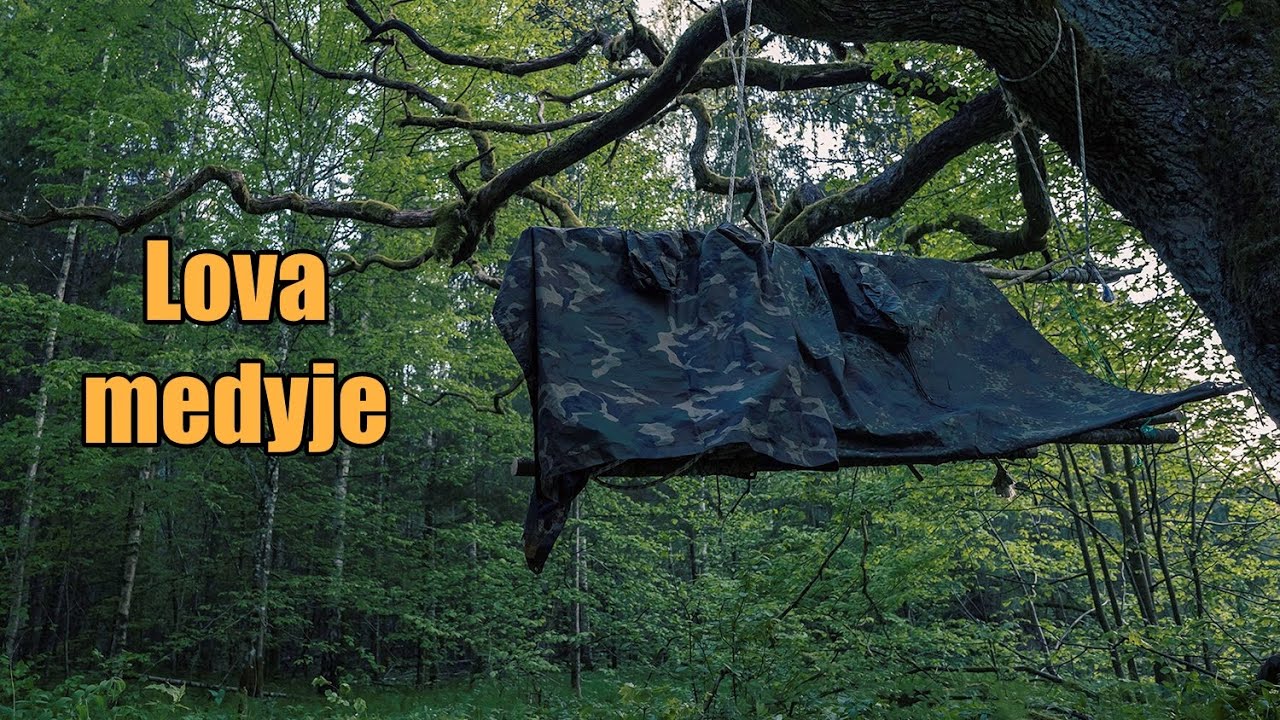 Lova medyje ir čeburėkai miške.