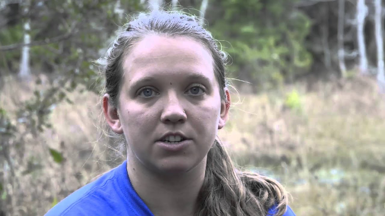 Reptile Survey