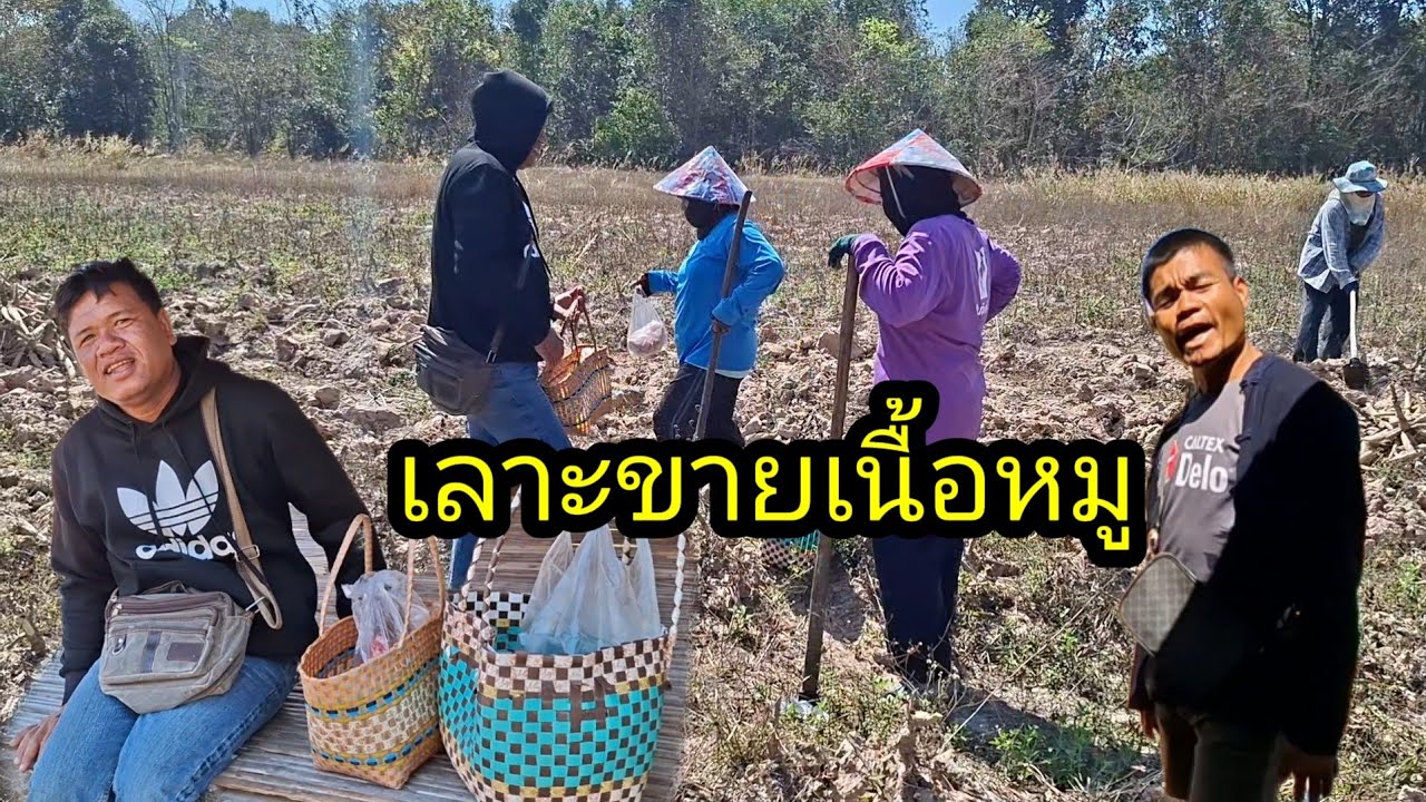 ทั้งขายทั้งชื้อหมูจ้า เลาะขายฮอดสวนมันจ้า