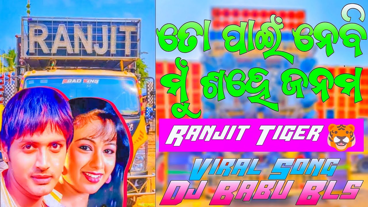 To Pain Nebi Mu Sahe Janama Dj Song | Ranjit Tiger Dj Viral Song | Dj Babu Bls