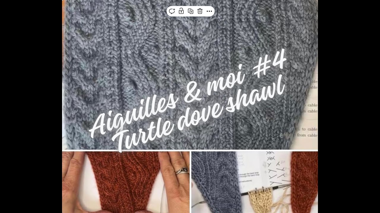 Turtle dove shawl - 4 Aiguilles & moi du 27 avril 2024 @Malainemaison