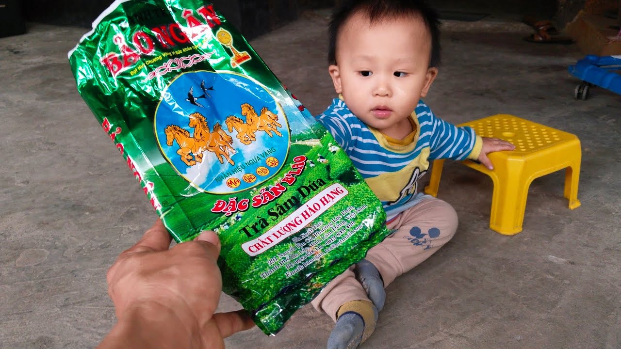 Tại sao cậu bé lại thích Bịch trà vậy