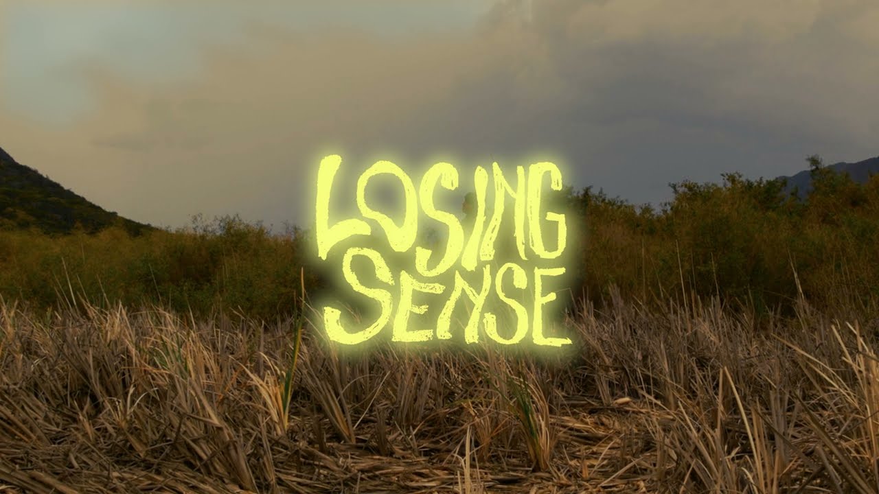 02 Flur, 1maydn - Losing Senses | Hambre & Tesón