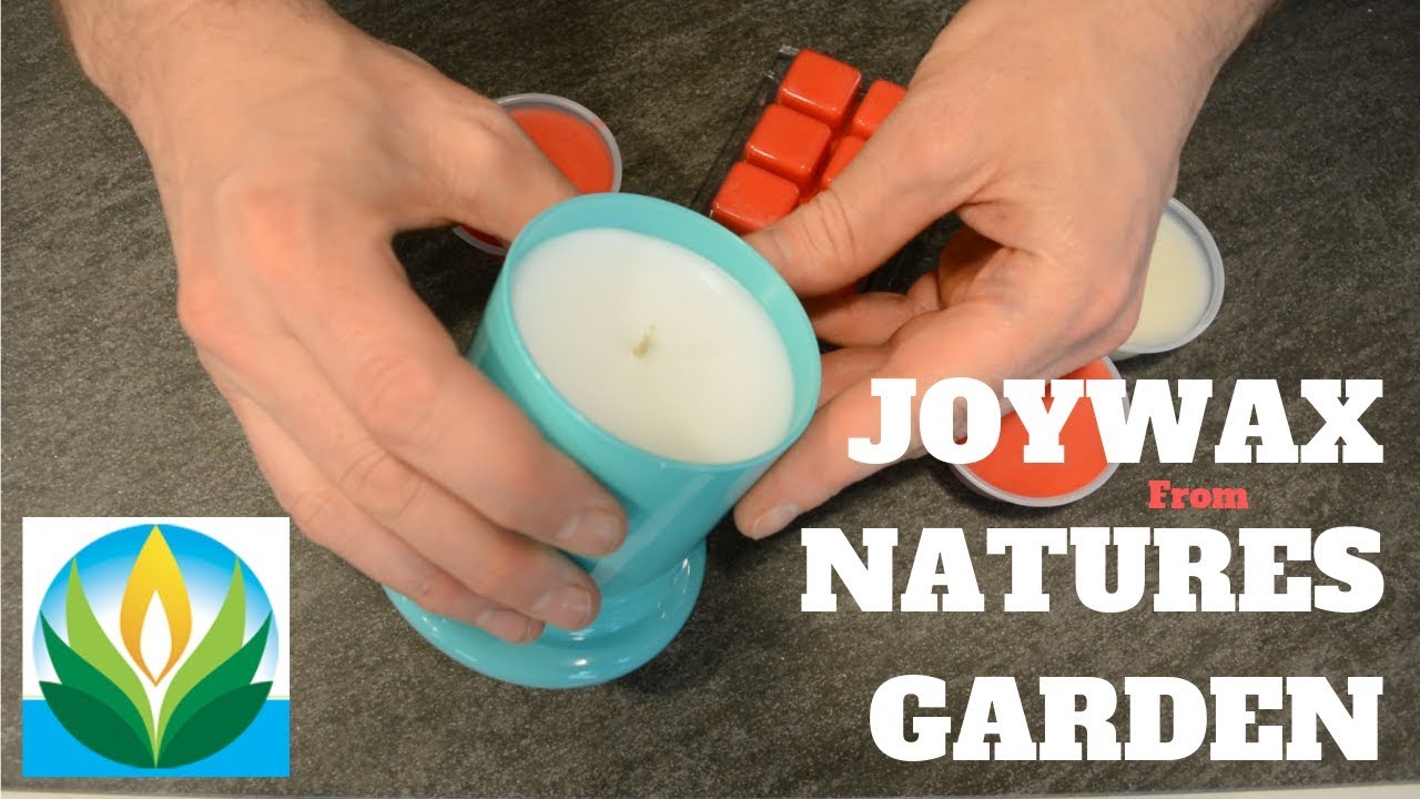 Testing and reviewing Joywax from Nature's Garden