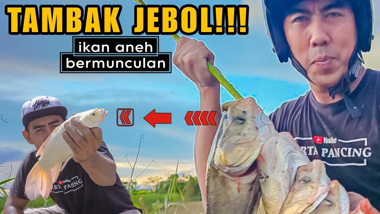 Didatangi Orang Tua&muncul Ikan Aneh,,!! Pemancing ini dapat rezeki di luar dugaan