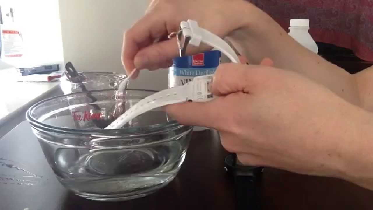 Get Organized: How to Clean a Smartwatch