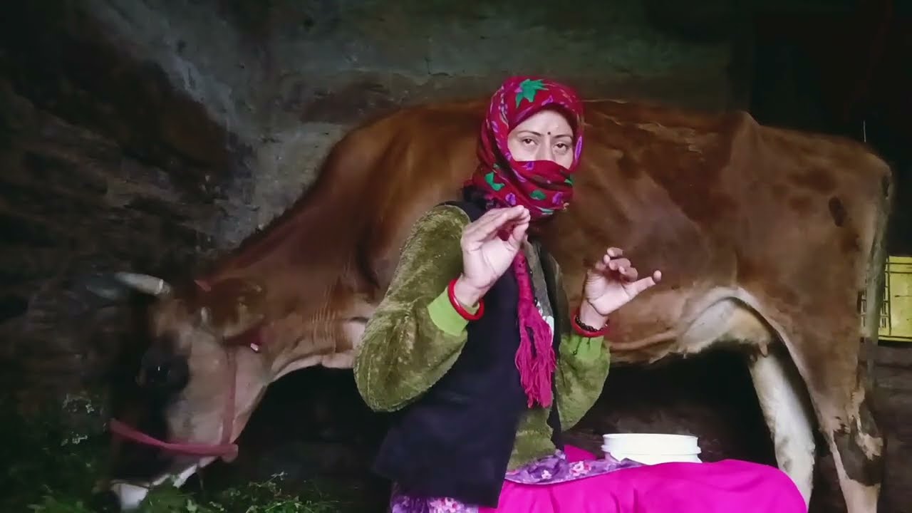 Aaj fir sa nkla gaya sa dhud #youtube  #phadilifestyle  #pahariculture  #villagelife  #minivlog 