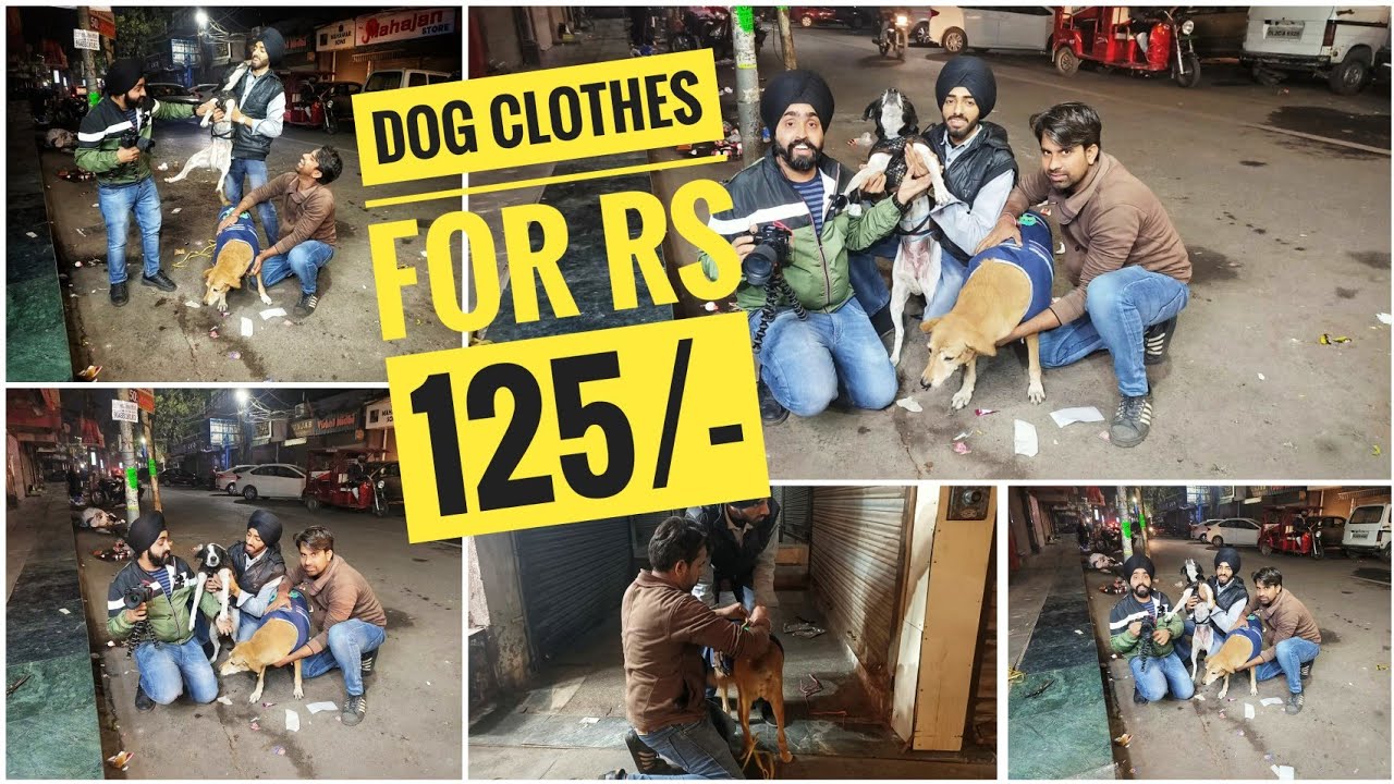 Best  Winter Clothes For Street Dogs (125/- Rs Only )  & Dog Milk Biscuits in wholesale price 🤗💙