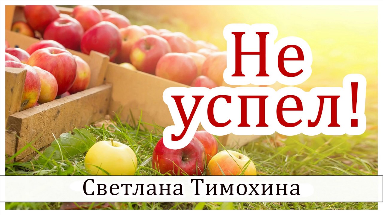 ✔Не успел