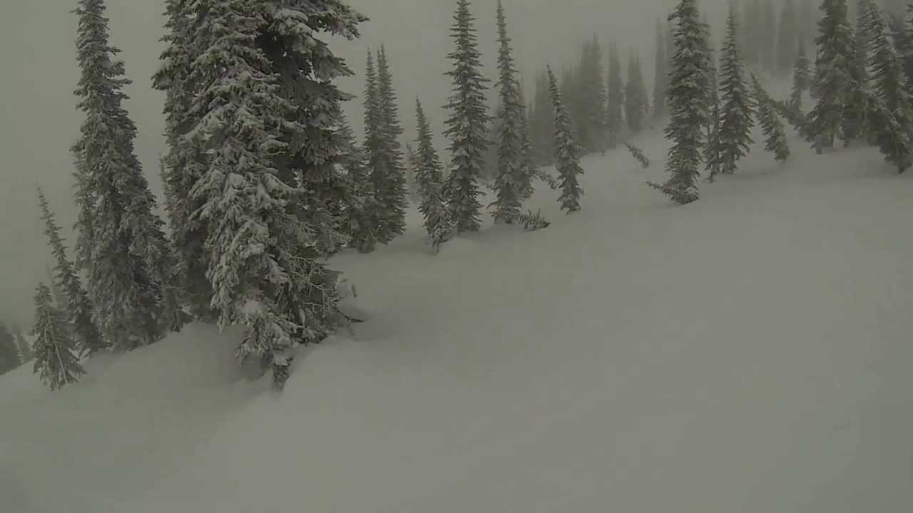 Fernie - Lizard Bowl