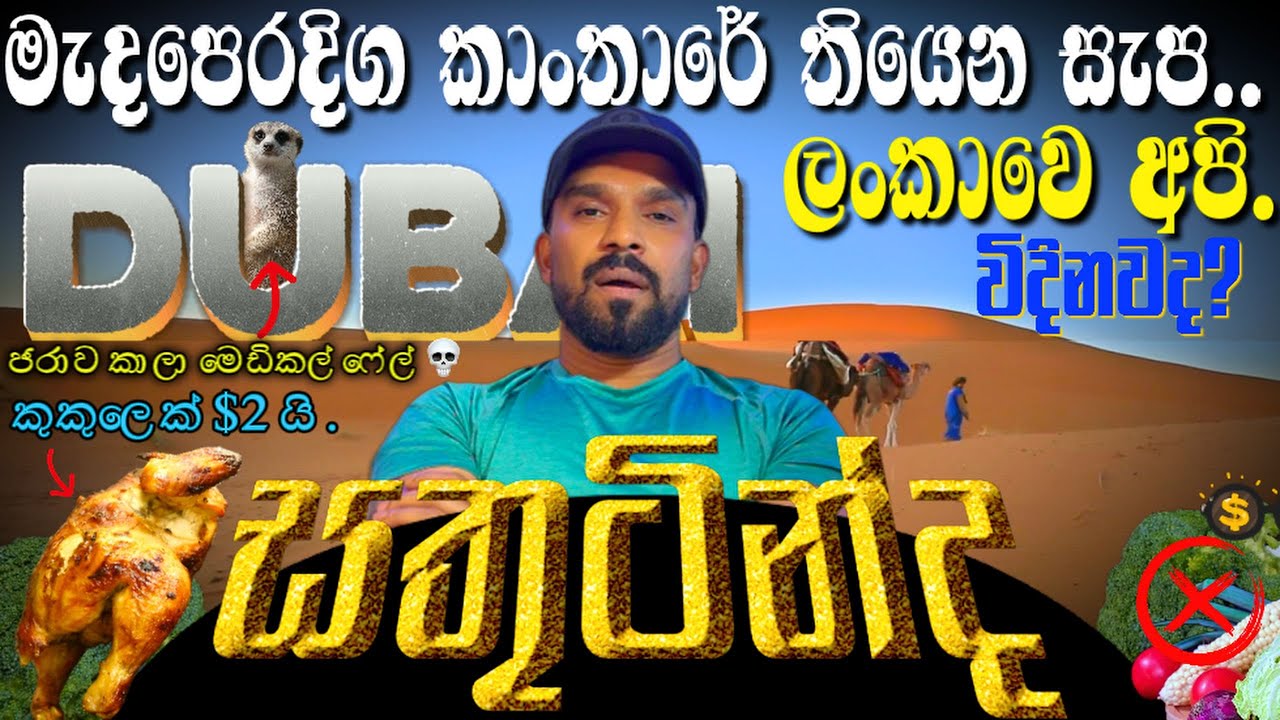 ඩුබායි කෑම හිගයක්? 🍗 කුකුලෙක් $2 යි. ඵ්ත් ජරාව කාලා මෙඩිකල් ෆේල් උන අය ලංකාවට dubai uae foods