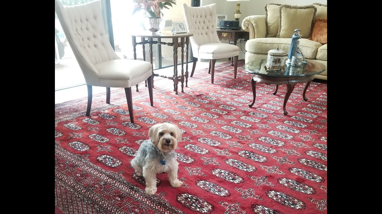 Color Will Never Bleed/Run! How PetPeePee&reg; Clean the Oriental rug and Guarantee.