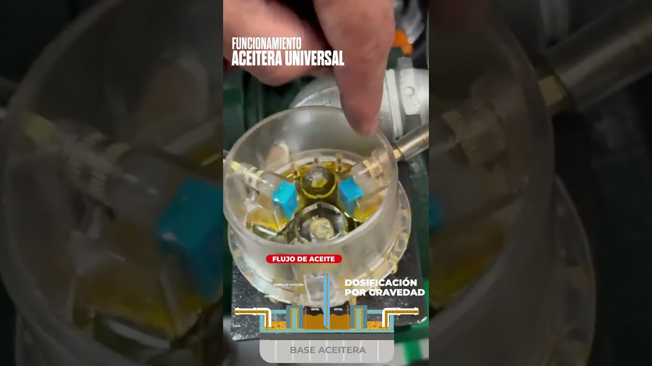 NIVEL CORRECTO ACEITERA PARA MÁQUINA DE ORDEÑO
