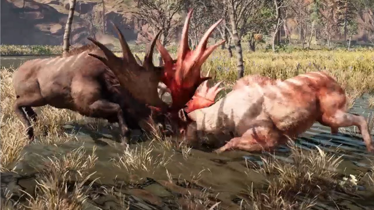 Hard Day With A Rare Tall Elk - Tall Elk Behavior