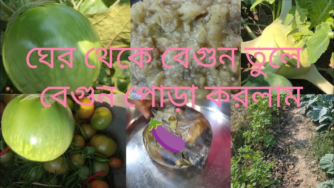 আজকে ঘেরে যেয়ে কি করলাম আর ঘের থেকে বাড়ি এসে কি করলাম