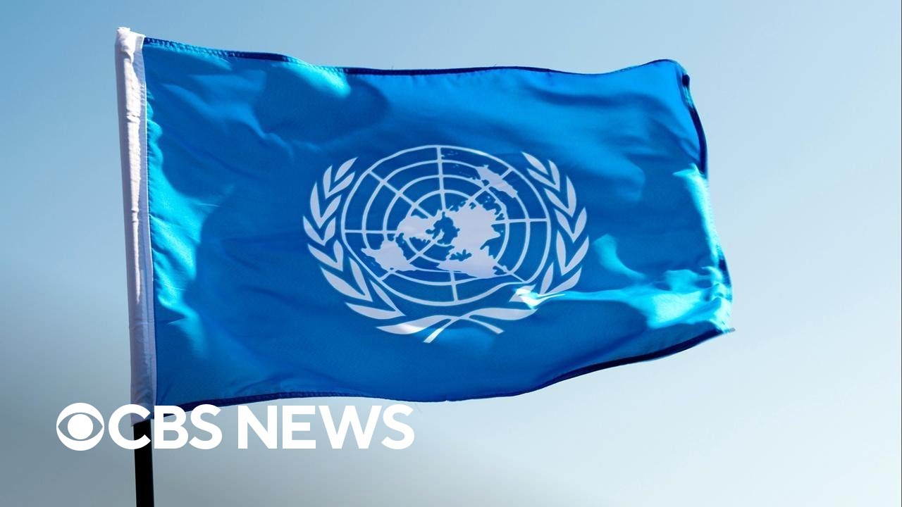 U.N. panel urges global cooperation on AI