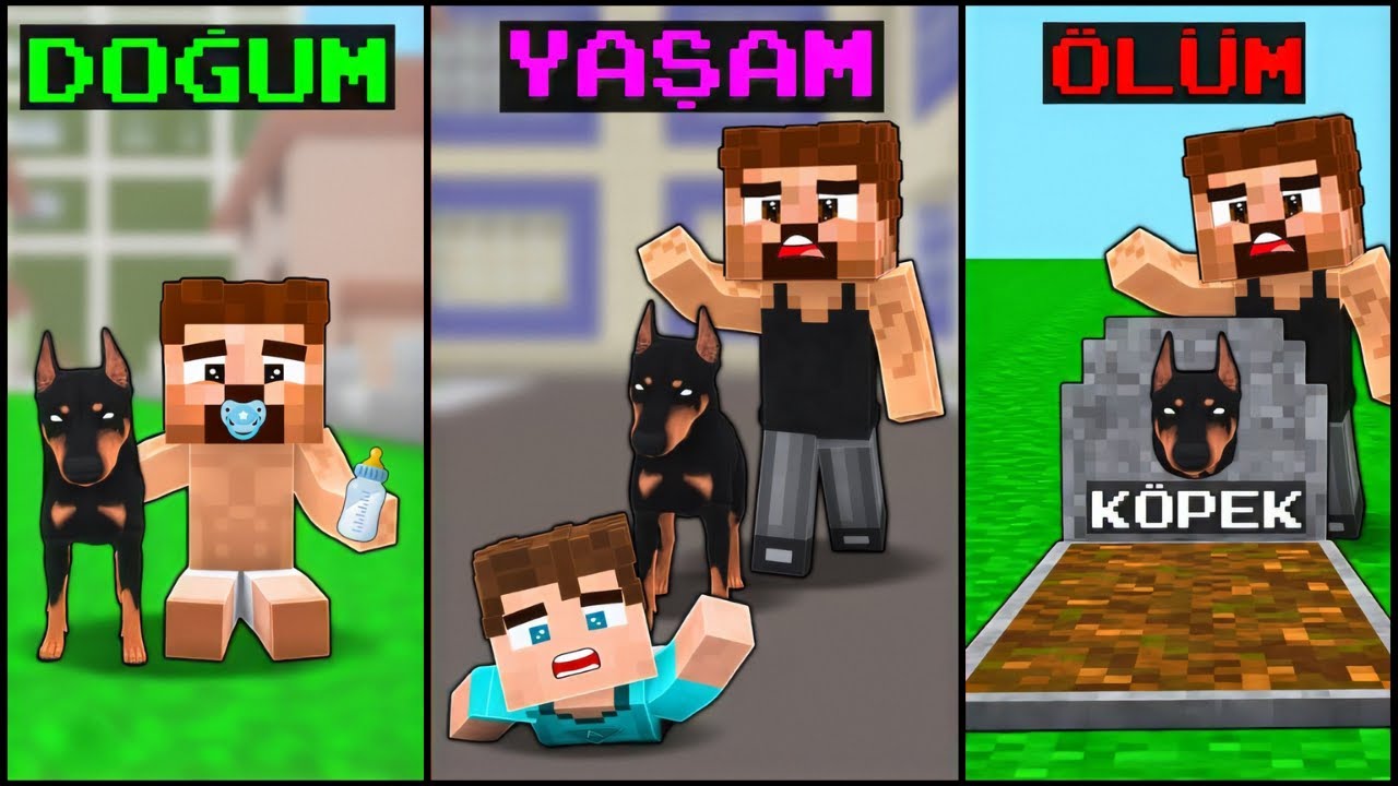 DOĞUMDAN ÖLĞME ARDA VE KÖPEĞİNİN HAYATI 😱 - Minecraft