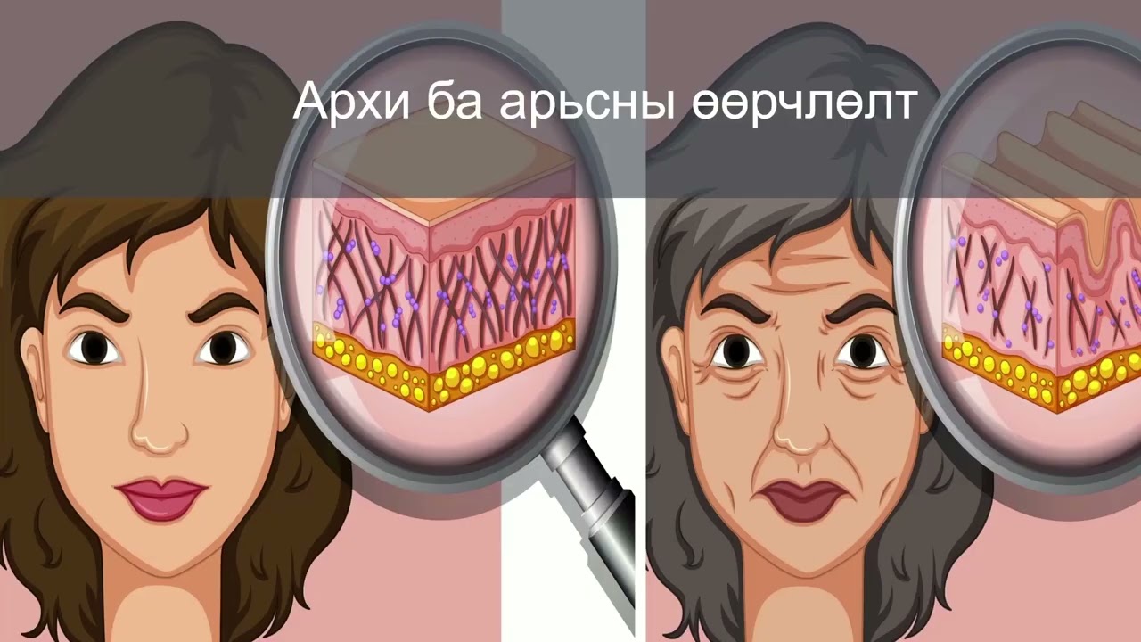 Архи согтууруулах ундааны хүний бие махбодод үзүүлэх хор хөнөөл