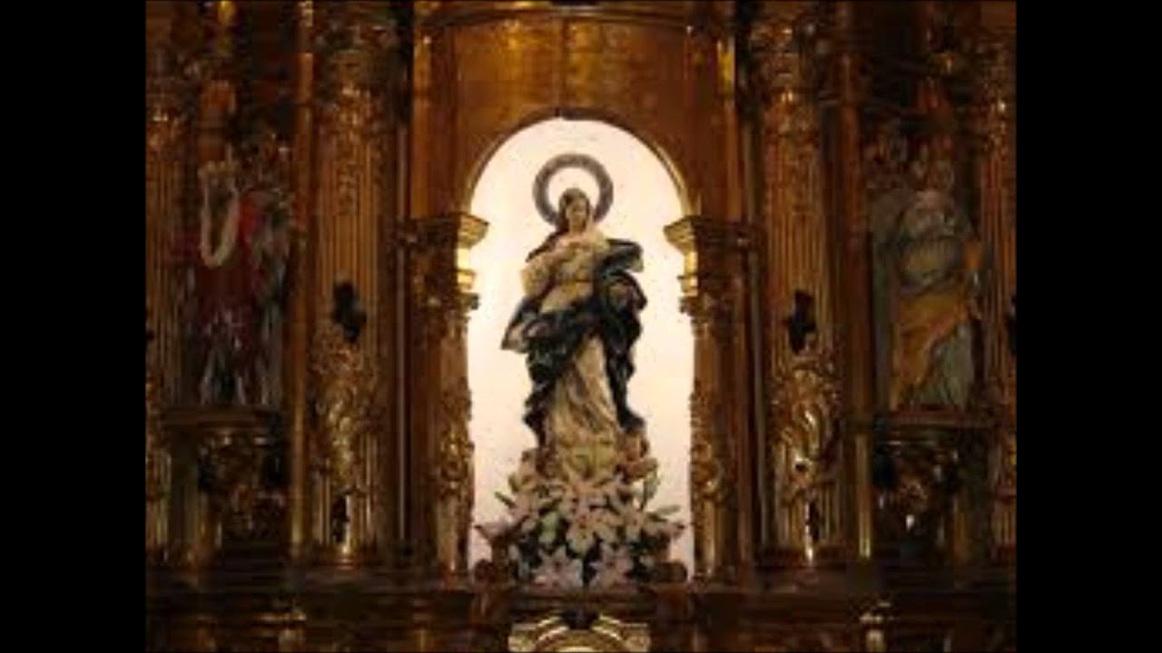 Aurora de la Inmaculada Falces