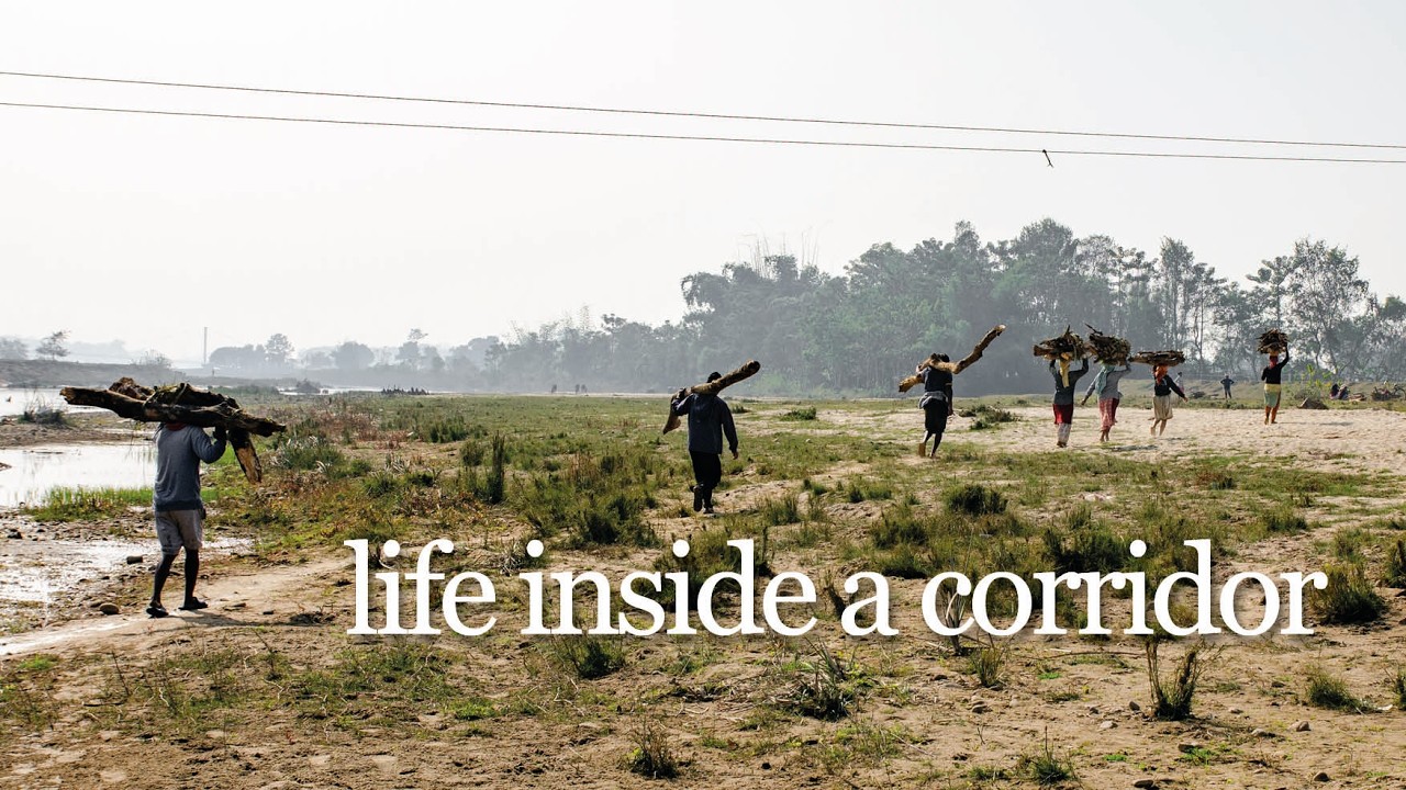 Life inside a Corridor