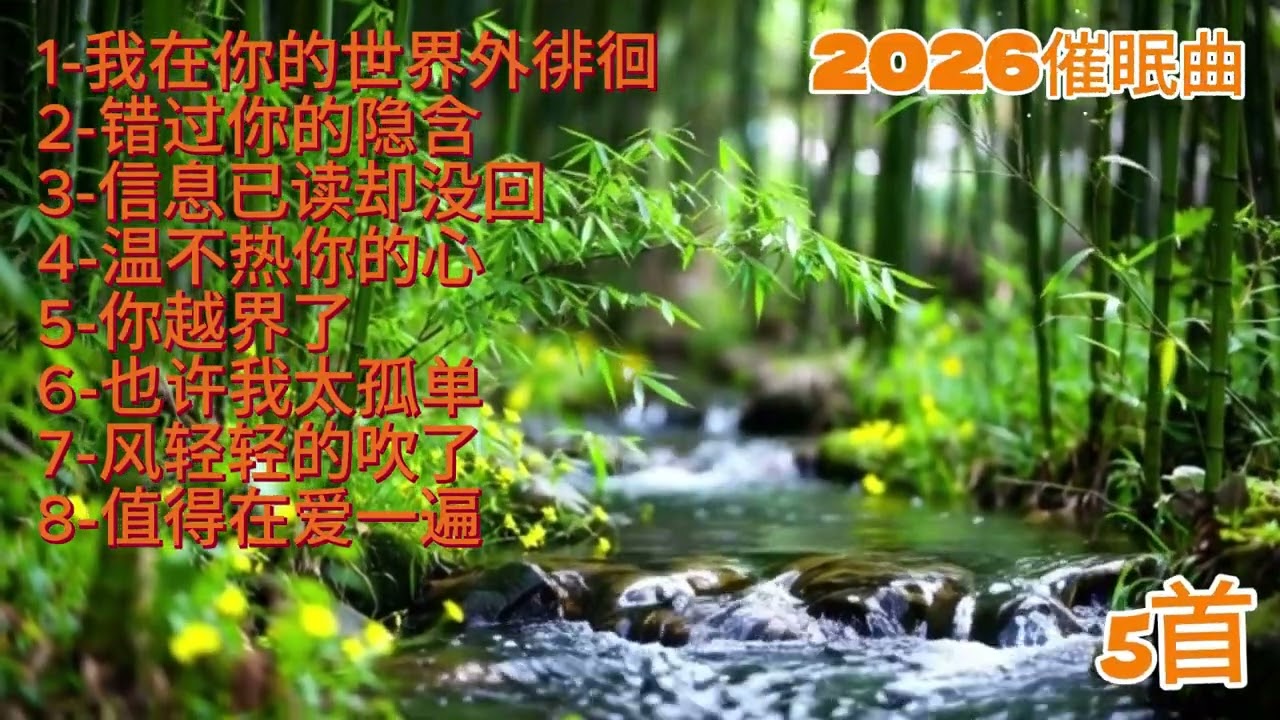 2026催眠曲伤感风格歌曲《我在你的世界外徘徊》#必听热门歌曲 #抖音 #疗愈歌曲 #抒情小曲集